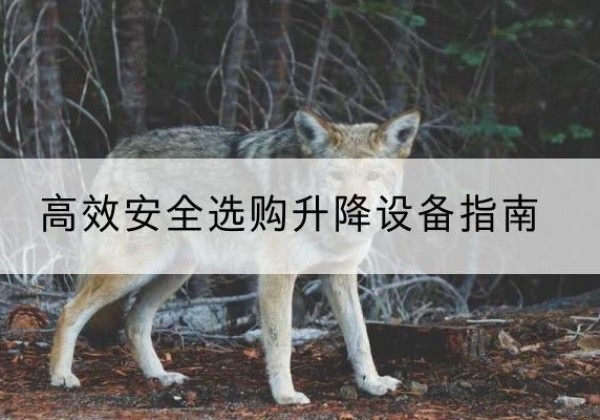 普安升降货梯厂家推荐-*安全选购升降设备指南