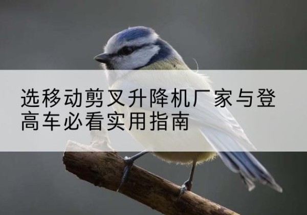 普安电动升降机厂家-选移动剪叉升降机厂家与登高车必看实用指南