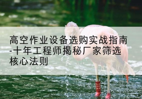 普安剪叉式升降机厂家-高空作业设备选购实战指南-十年工程师揭秘厂家筛选核心法则